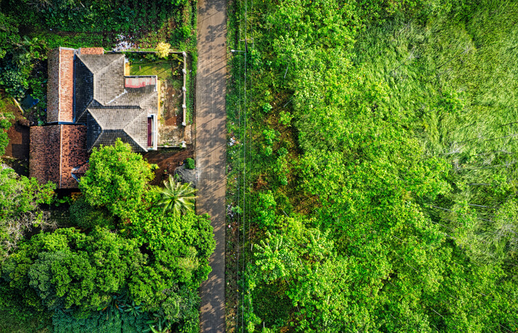 Tanah kebun disewakan cocok untuk berkebun